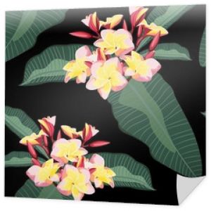 Tropikalny kwiatowy tło z gałęzi kwiatów plumeria z liści. Ręcznie rysowane ilustracja botaniczna do projektowania stron tropikalnych.