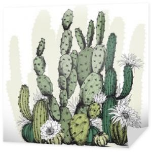 Kwadratowa karta z zielonymi roślinami i kwiatami kaktusów. Ręcznie rysowane wektor na białym tle.