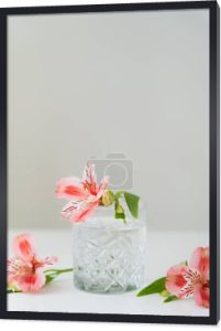 fasetowe szkło z wodą w pobliżu różowych kwiatów alstroemerii na białej powierzchni odizolowane na szarości