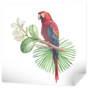Akwarela ilustracji kwiatów tropikalnych i papuga