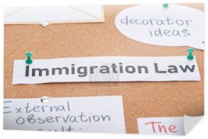 kartki papierowe z dekoracyjnymi pomysłami i teksty prawa imigracyjnego przypięte na pokładzie biura korka
