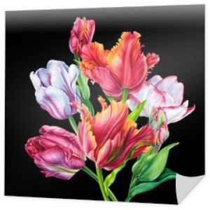 Tulipany Bukiet Akwarela. tulipany. Kolorowe kwiaty na czarnym tle. Sztuka botaniczna.