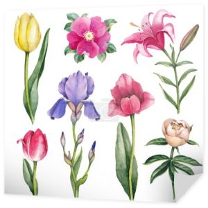 Kwiaty w akwarela ilustracje