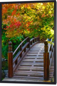 Piękny ogród japoński z mostem w okresie jesiennym