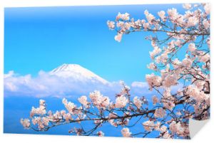 Święta góra Fuji i gałąź kwitnącej sakury, Japonia