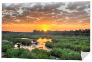 Wschód słońca w Parku Narodowym Krugera