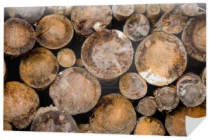 Firewood - butt-ends of chopped wood logs, wooden textured background.Natural ecological background of cut wooden sawn logs, wood cross section, texture