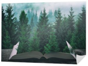 Mglistych Karpat świerkowego lasu po deszczu na stronach otwartej książki magiczne. Majestatyczny krajobraz. Koncepcja przyrody i edukacji.