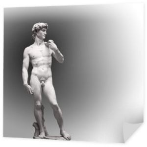 Posąg Dawida autorstwa Michała Anioła w Galleria dell& 39 Accademia (muzeum uffizi) we Florencji. Włochy.