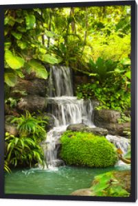 Wodospad w tropikalnym ogrodzie