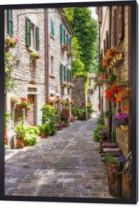 Wąska stara ulica z kwiatami we Włoszech