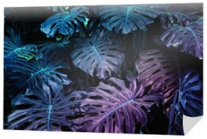 Ultra Violet efekt tła wykonany z liści tropikalnych Monstera.