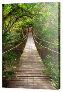 Most do dżungli, park narodowy Khao Yai, Tajlandia