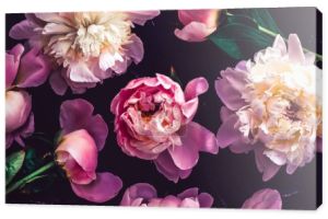 Różowe kwiaty piwonii jako tło sztuki kwiatowej, botaniczne płaskowyże i luksusowe marki