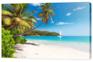 Piaszczysta plaża z palmami i żaglówką na turkusowym morzu na rajskiej wyspie.