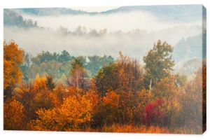 Wiejski mglisty krajobraz jesień z czerwonymi drzewami. Sezonowy nastrój ciszy jesiennej.