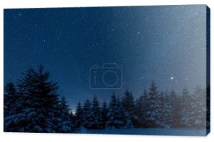 Mroczne niebo pełne gwiazd błyszczących w Karpatach w zimowym lesie w nocy