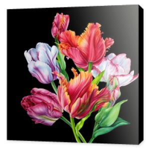 Tulipany Bukiet Akwarela. tulipany. Kolorowe kwiaty na czarnym tle. Sztuka botaniczna.