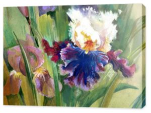 Watercolor Flower Collection: Irises