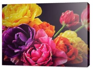 Kolorowe tulipany w stylu vintage