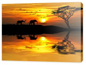 zachód słońca w Afryce