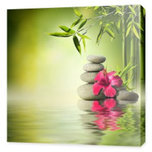 Kamienie, czerwony hibiskus i bambus na wodzie