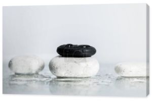 Plecy i białe kamienie zen z kroplami wody na mokrym szkle na szarym tle