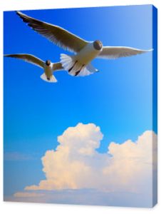 Sztuka latający ptak na tle błękitnego nieba