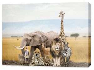 Grupa Przyjaciół Zwierząt Safari