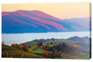 magiczny wschód słońca w górach. dolina pełna mgły. piękna jesienna sceneria. drzewa w kolorowych liściach. sielankowa atmosfera karpackiej wsi