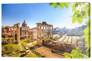Rzymskie ruiny w Rzymie, Forum