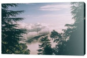 wiecznie zielone drzewa i piękne góry z chmury w indyjskich Himalajach 