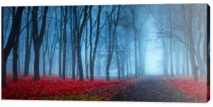 Piękny mistyczny las w niebieskiej mgle jesienią