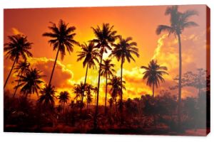 palm kokosowych na piaszczystej plaży w tropic