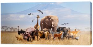 Grupa wielu zwierząt afrykańskich żyrafa, lew, słoń, małpa i inni stoją razem z górą Kilimandżaro na tle