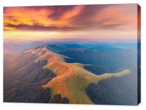 Aerial landscape photography. Breathtaking summer sunrise on Menchul ridge. Incredible morning view from flying drone of Carpathian mountains. Beauty of nature concept background.