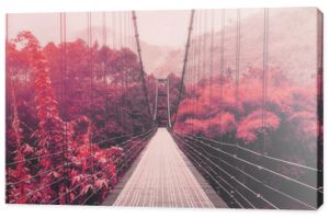 Piękny jesienny las i słońce, ze stalowym mostem wiszącym, ton vintage
