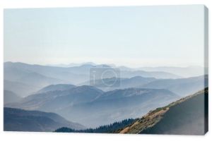 Widok z lotu ptaka krajobraz piękne góry mgliste, Karpaty, Ukraina