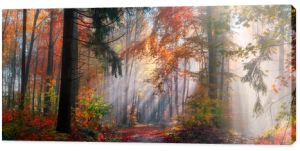Magiczna jesienna sceneria w sennym lesie, z promieniami słońca pięknie rozświetlającymi kłęby mgły i malującymi oszałamiające kolory na drzewach