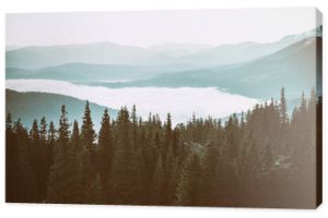 Mglisty poranek krajobraz z pasmem górskim i lasem jodłowym w hipsterskim stylu retro vintage