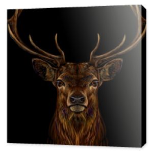 Jeleń. Realistyczny, kolorowy, ręcznie rysowany portret głowy jelenia na czarnym tle.