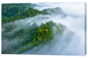 Widok z lotu ptaka Azji rano mgła w tropikalnych lasów deszczowych góry, tło pięknego lasu i mgły, widok z góry na tle lasu amazońskiego.