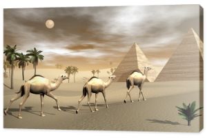 Wielbłądy i piramidy - renderowanie 3D