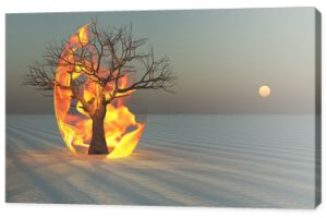 Ogień płonie wokół drzewa na pustyni Sands