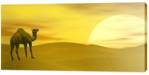 Wielbłąd na pustyni - renderowanie 3D