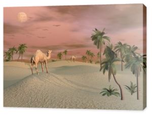 Wielbłądy na pustyni - renderowanie 3D