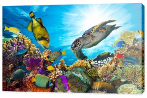 panorama podwodnego życia morskiego rafy koralowej z wieloma rybami i zwierzętami morskimi