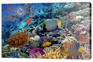 Kolorowa rafa koralowa z wieloma rybami i żółwiem morskim