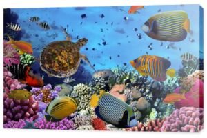 kolorowa rafa koralowa z wieloma rybami