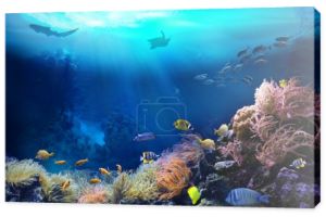 Podwodny widok na rafę koralową. Ekosystem. Życie w wodach tropikalnych. 